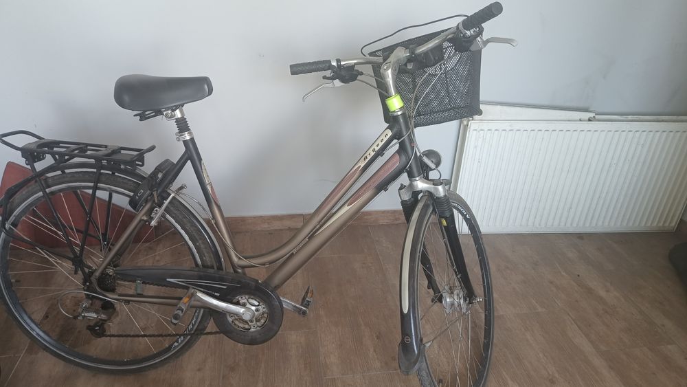 Rower damski Sparta Argeon