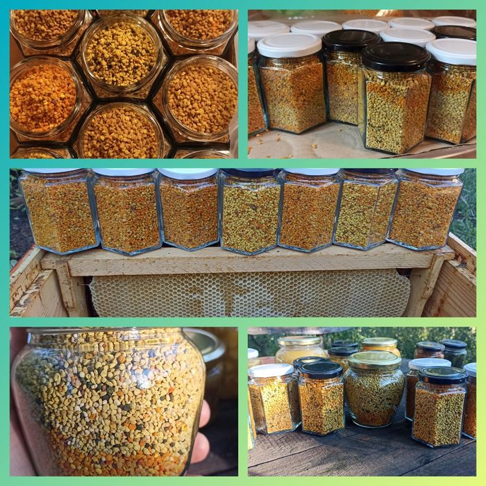 Горішки в меду ,насіння в меду , медові смаколики ,медова насолода