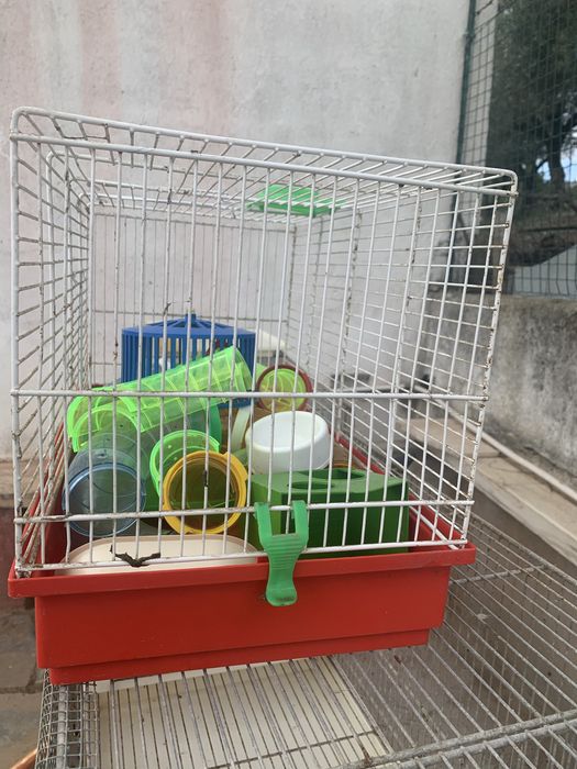 Gaiola para amster como nova