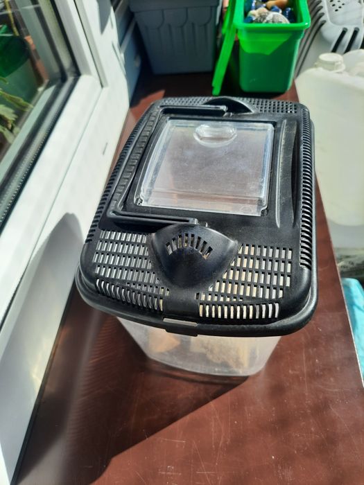 Plastikowy pojemnik i kamienie ozdobne