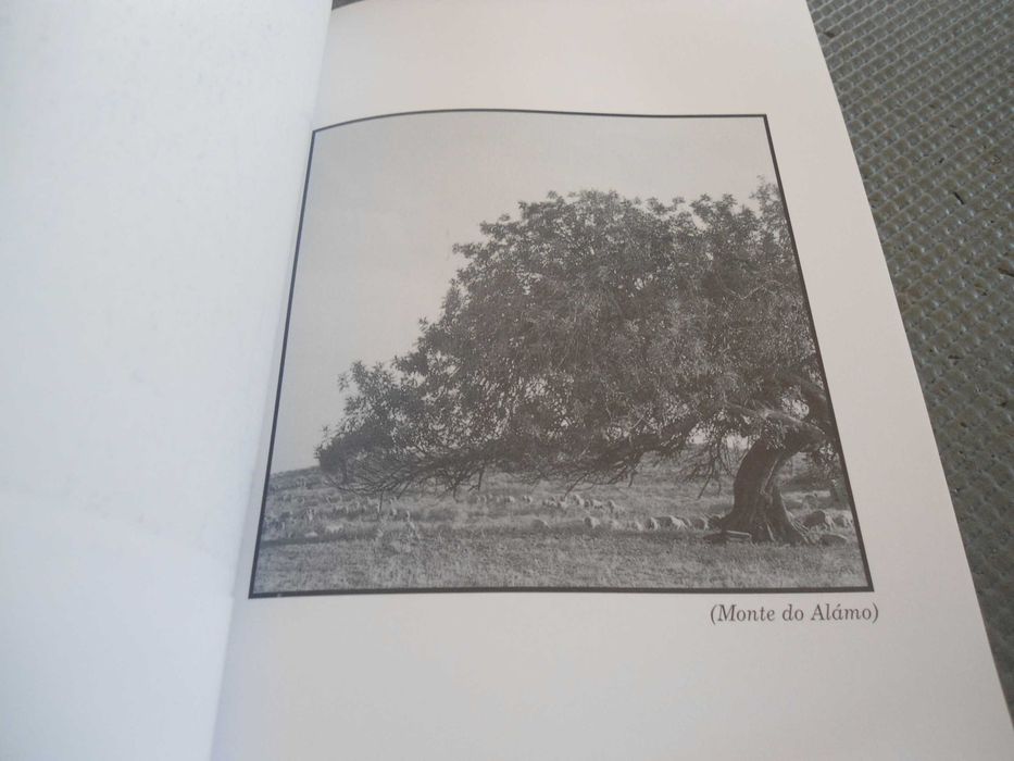Manhã inacabada ou a vereda da memória de Ulisses Rolim (1996)