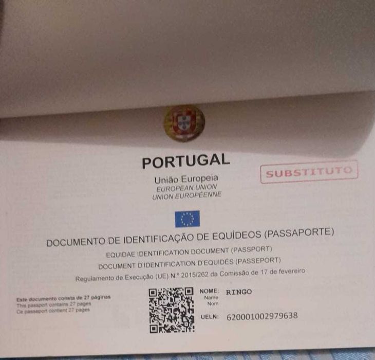 Animais cruzado portugues