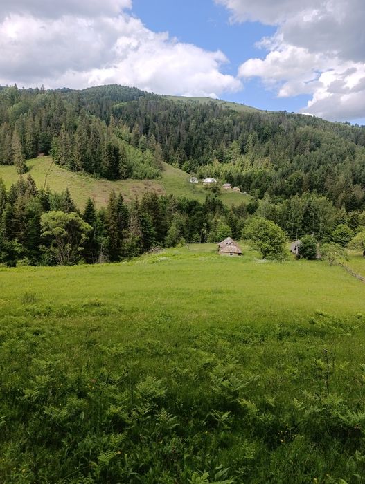 Земельна ділянка 0,63 га в Карпатах | Снідавка, Косівський район | 35 000 $