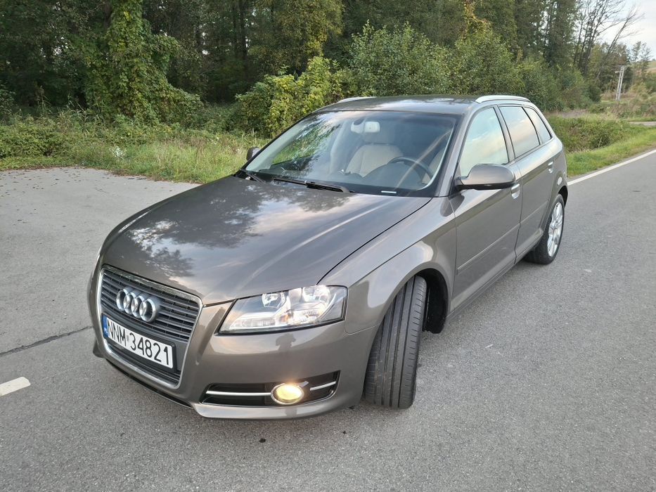 Audi A3 8P 2.0 TDI