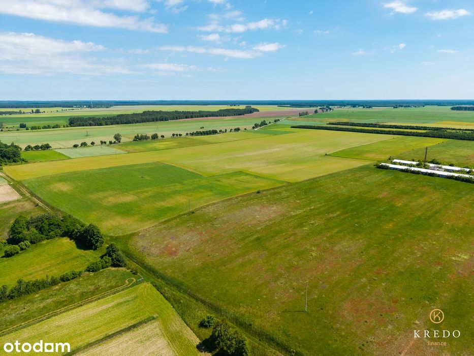 Działka budowlana 1,0036 ha | WZ | Duży potencjał inwest. | Koczała