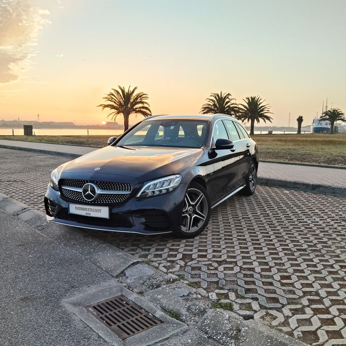 AMG 300, exterior and interior, electric and hybrid/diesel