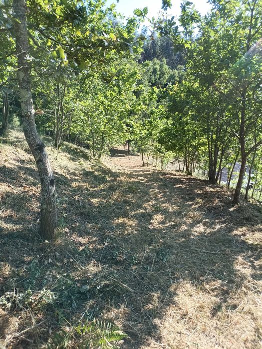 Terreno de 1000m2 Urbanizável