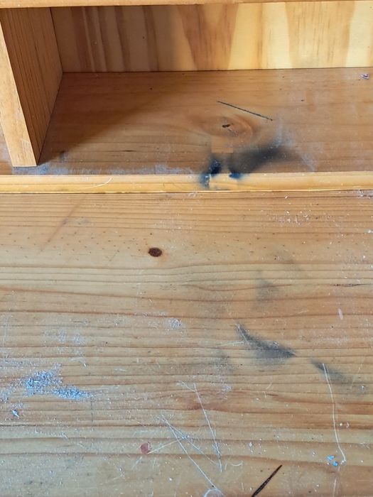 Secretaria americana