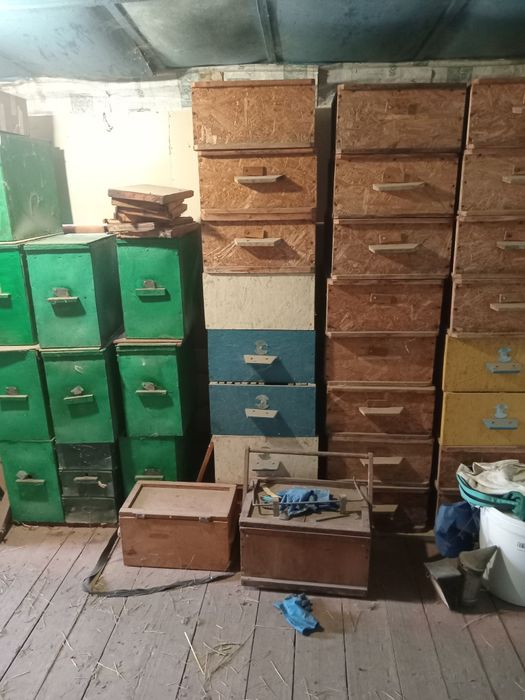 Продам пасеку со всем оборудованием .Розгляну