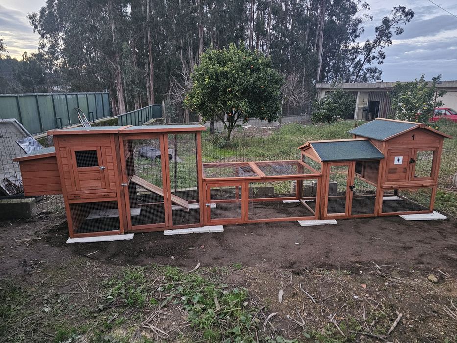 Galinheiro como Novo