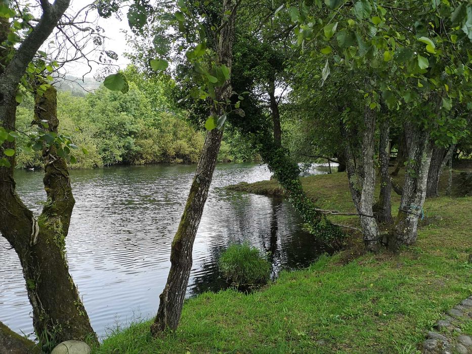 Terreno rústico junto à ecovia do Vez 4.000 m2
