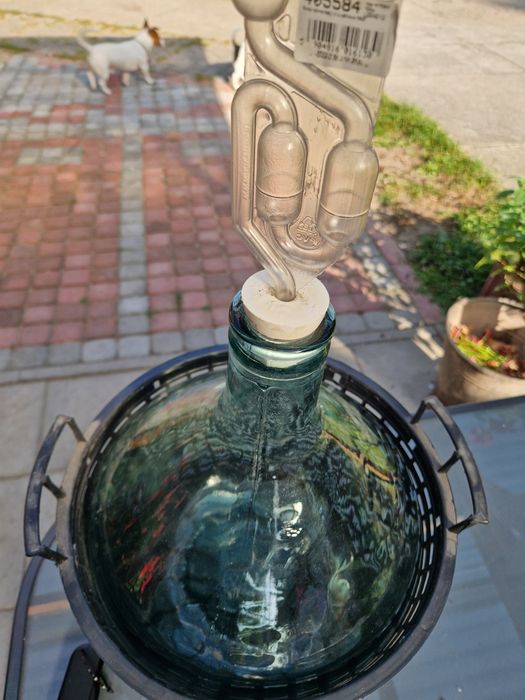 Balon gąsior do wina 10l