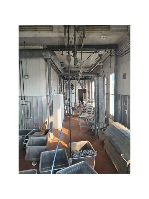 М’ясоцех з допоміжними спорудами, 833,5 м², с. Плоске, вул. Дружби, 8