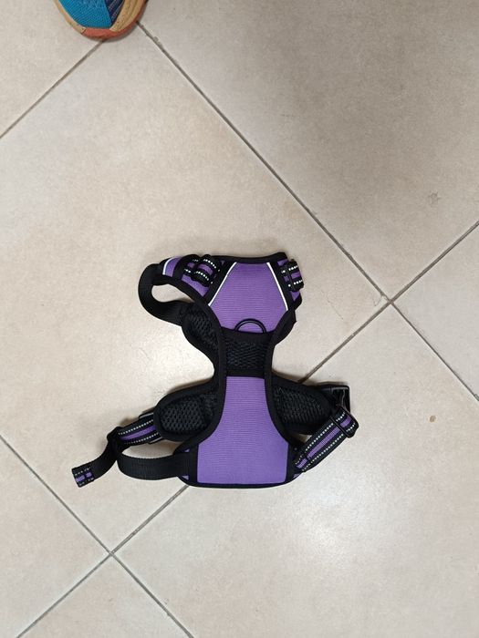 Arnês para cão de médio porte