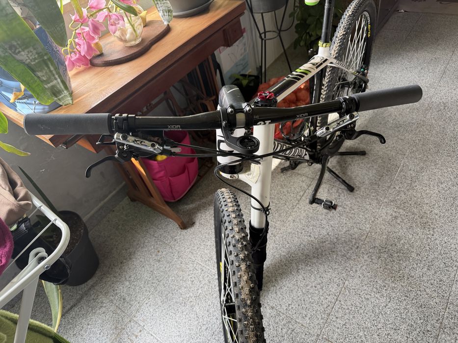 Cannondale m carbono 27,5