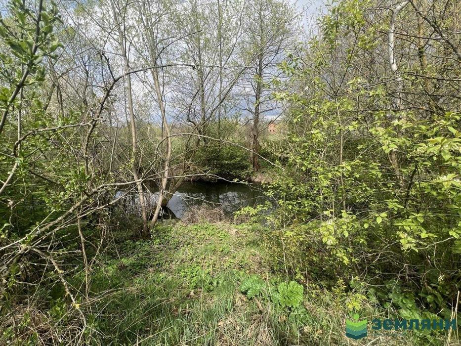 Продається земельна ділянка 12 сот під будівництво в с. Хом'яківка (2)