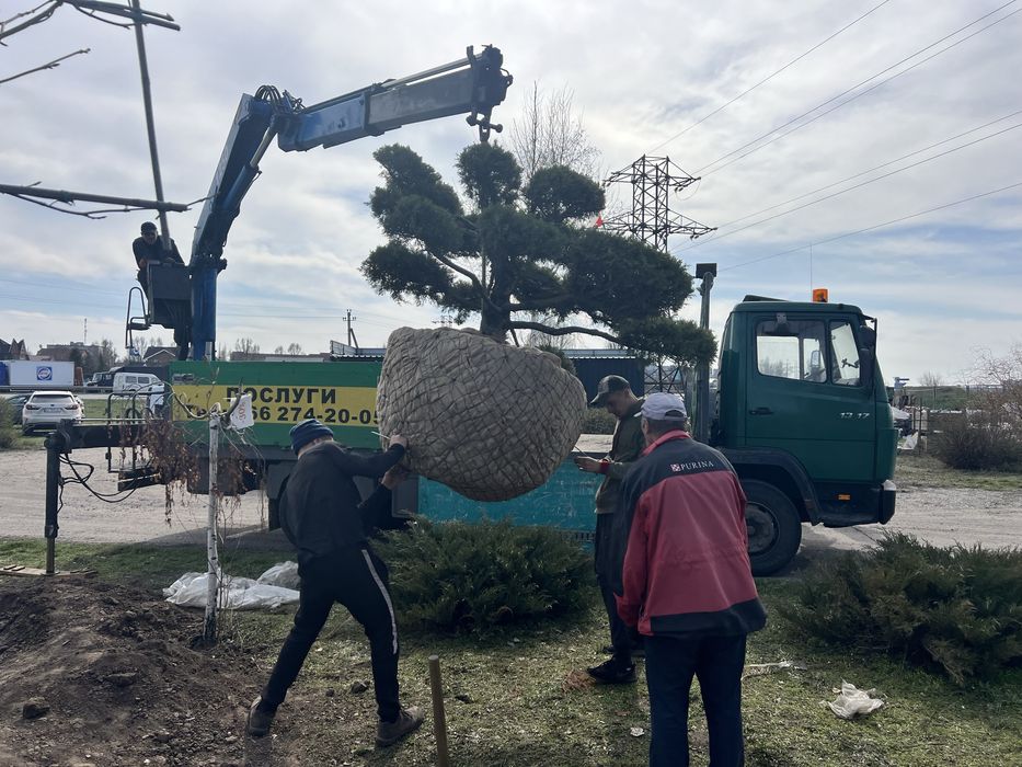 Услуги манипулятора