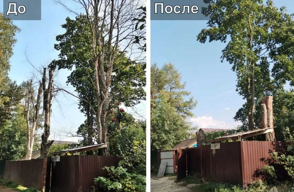 Зрізання дерев Спил дерев Обрізка дерев Кронування. Договір/Гарантія!