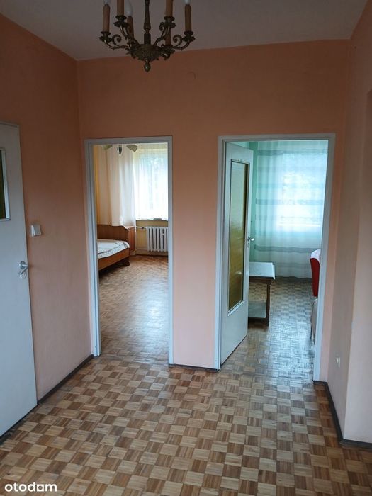 Zdjęcie 7