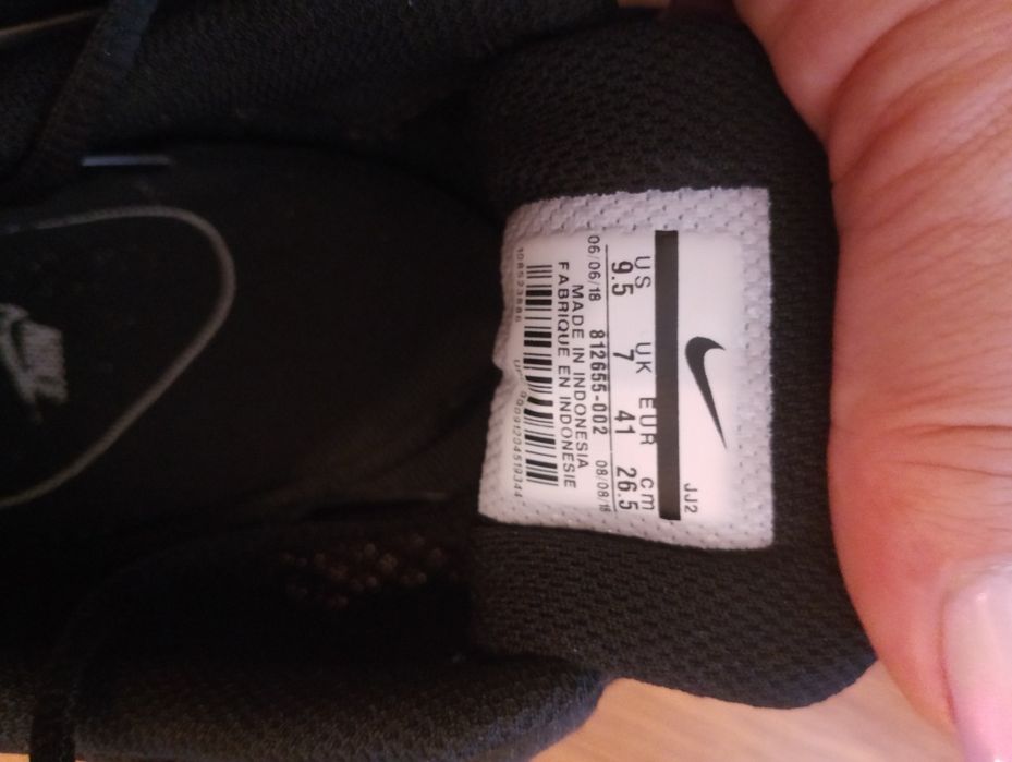 Кросівки Nike Tanjun