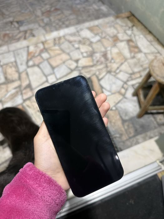 Iphone 13 PRO MAX com 256GB
