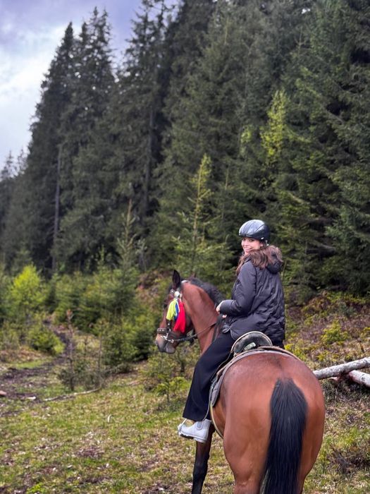 Кінні прогулянки Ворохта Буковель