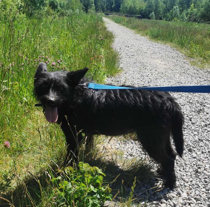 Bunia - malutka sunia odebrana ze złych warunków