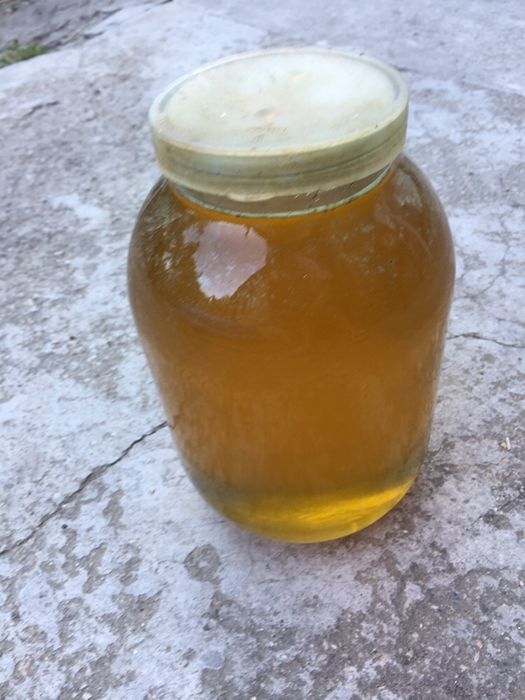 Продам мед соняшника