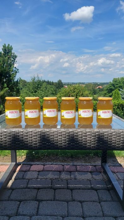 Świeży miód lipowy i wielokwiatowy 2025