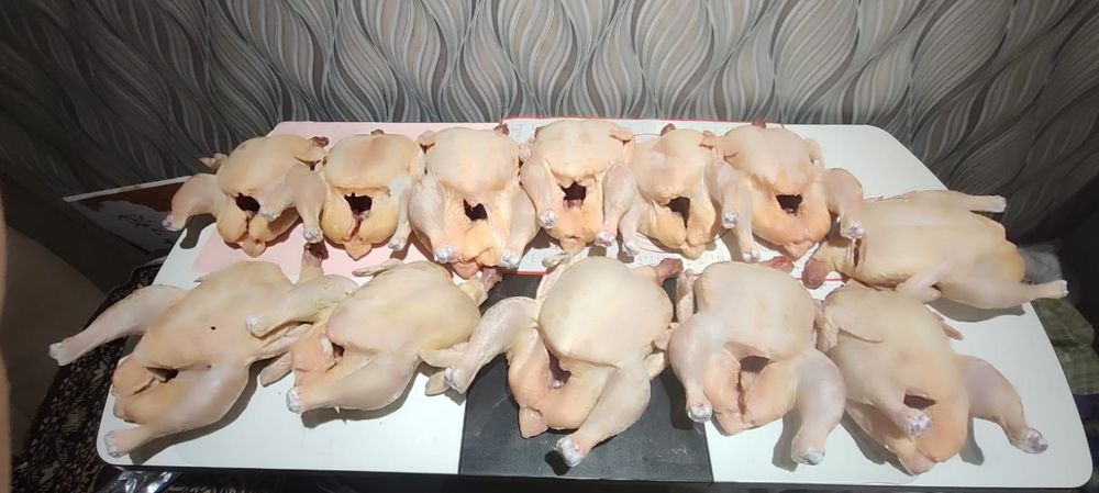Мясо домашнего бройлера