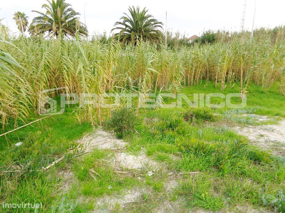 Lote de Terreno - Construção em Altura