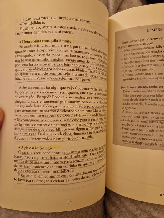 Livro 10 dias para ensinar o seu filho a dormir