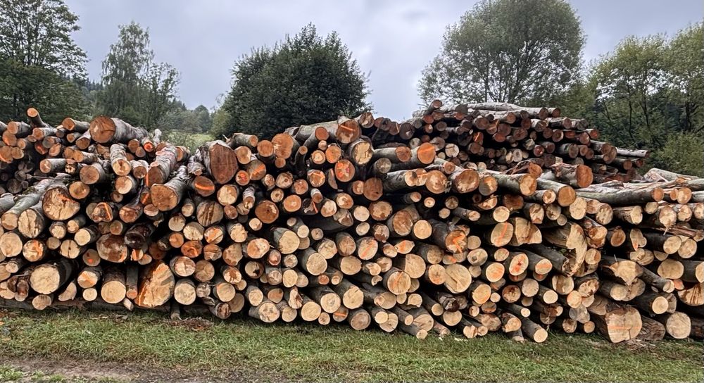 Drewno opałowe buk metry