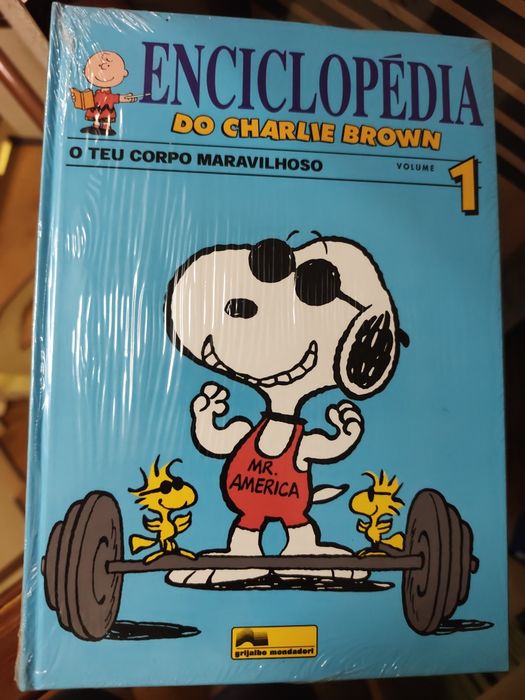 Coleção Enciclopédia do Charlie Brown 14 volumes novos