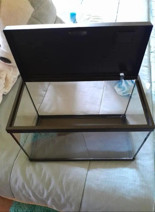 Aquário Aquatlantis