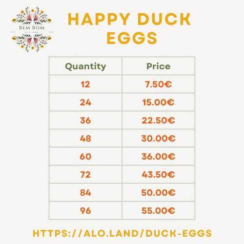 Ovos de pata grandes, frescos, produzidos de forma sustentável