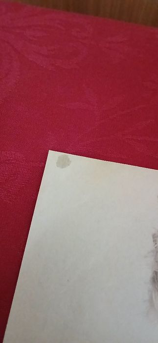 Poster Pink/Brenda Song