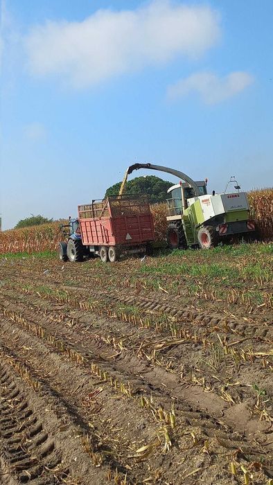 prestação de serviços agrícolas
