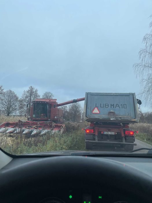 Ziarno kukurydzy – najwyższa jakość, BIGBAGI 800 i 1300 kg