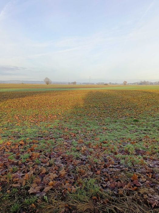 Działki na sprzedaż