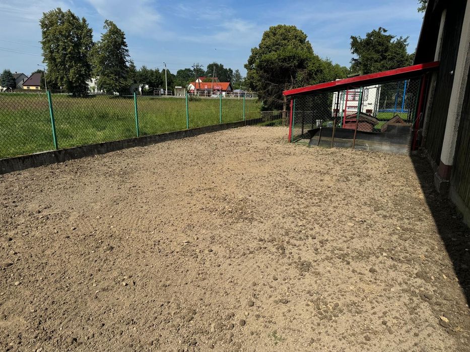 Od trawnika po drzewa – zadbamy o każdy szczegół Twojego ogrodu