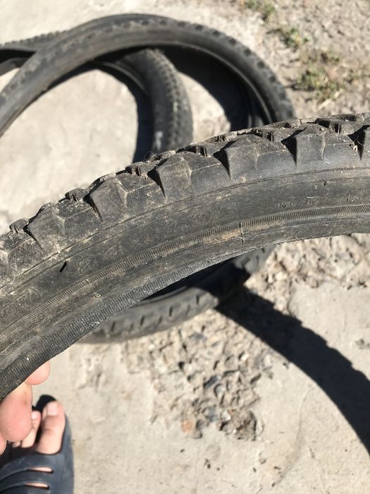 Покрышка 24 1.95