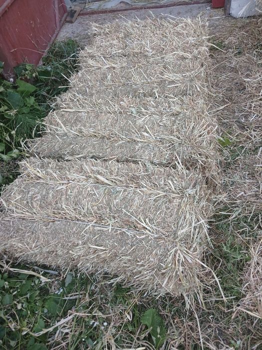 Сіно, солома свіже від реального продавця