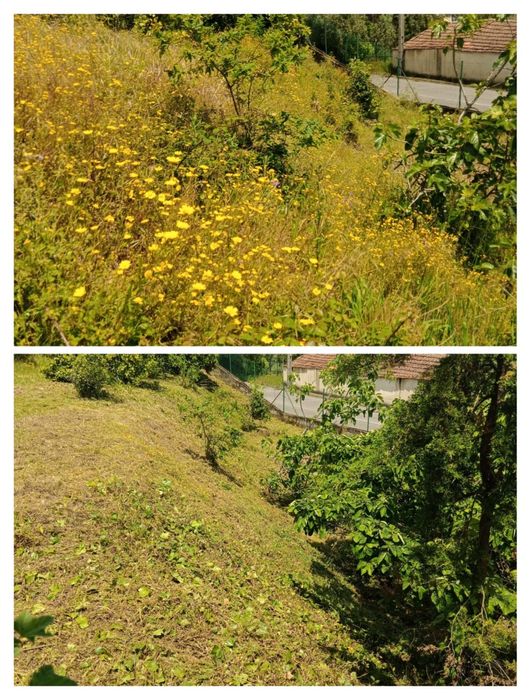 Serviço de limpeza de terrenos (ler descrição)