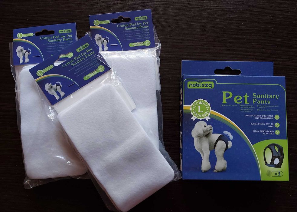 majtki dla suczki w czasie cieczki