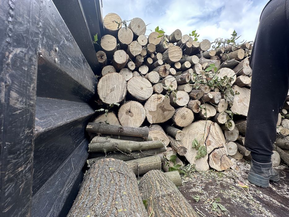 Дрова колотые дуб ясень от 3  кубов с доставкой по харькову и облости