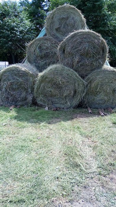 Sprzedam siano w belach