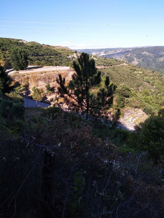 Terreno com 1,2 Hectares e Ruína em Pedra (225m²) – Parada de Cunhos, Vila Real