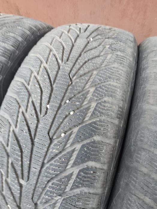 Зимові шини Petlas Glacier W661 215/55 r17