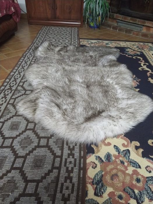 Gray Shag Rug